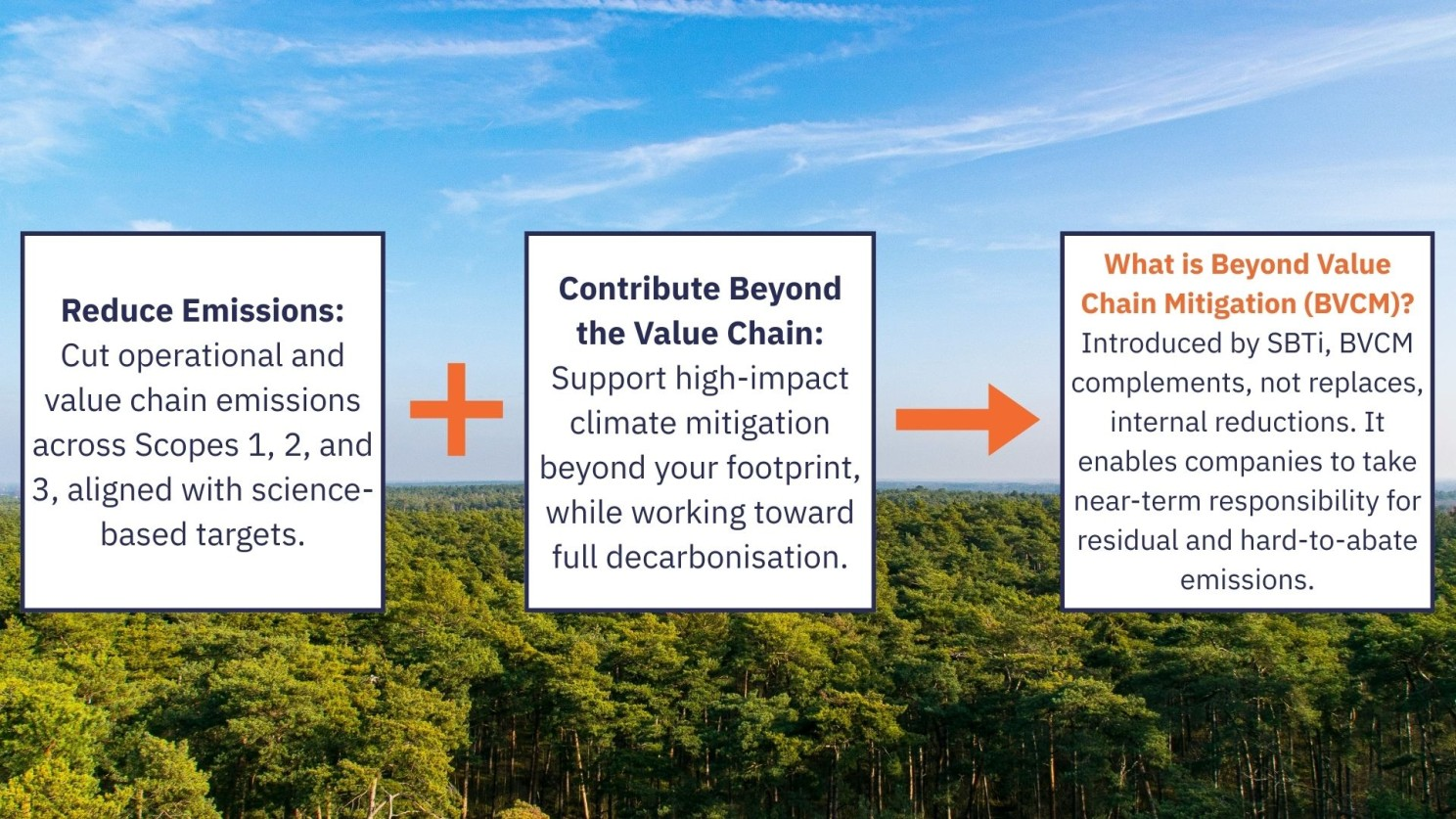 The Next Step for Net Zero: Beyond Value Chain Mitigation • Global ...