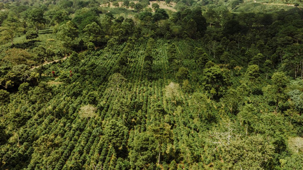 sustainable regenerative farming to build climate resilience