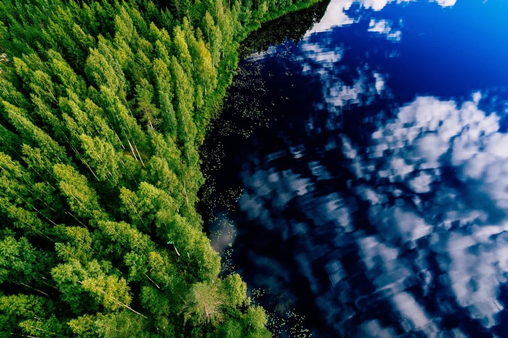 regenerate nature to tackle climate change