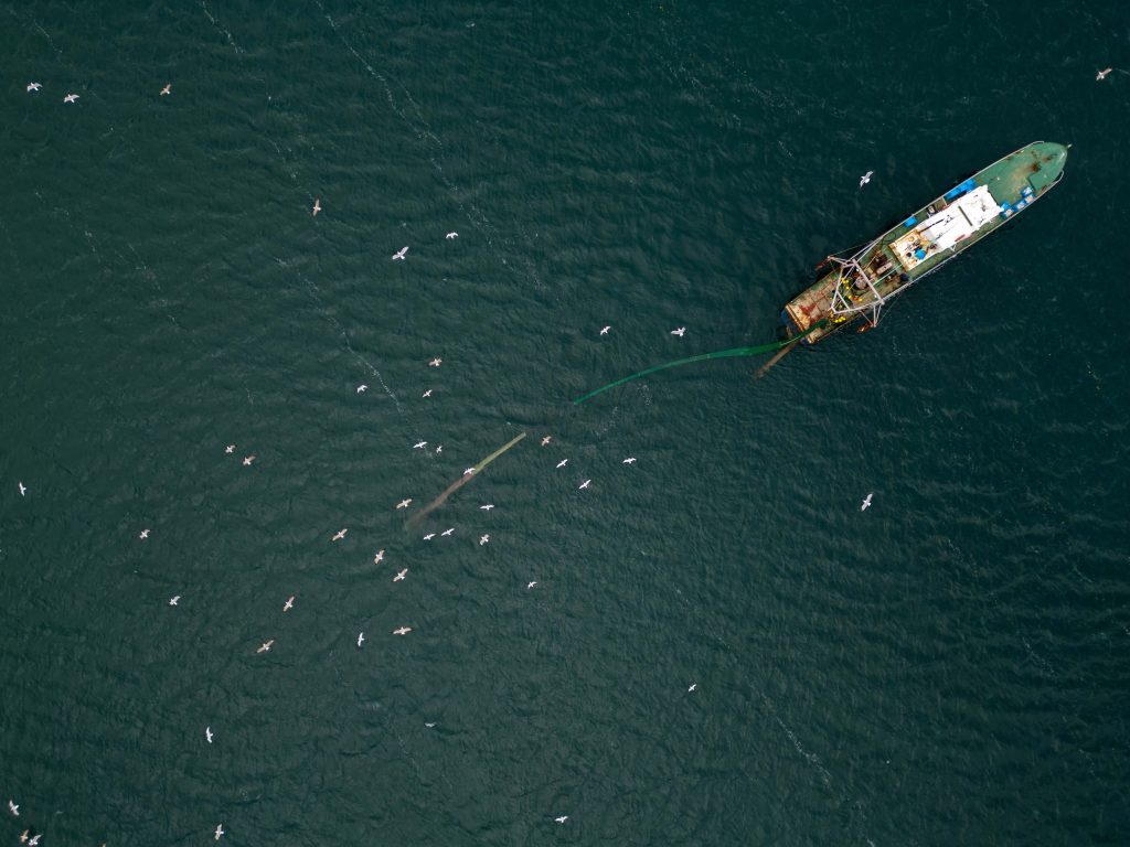 why ban bottom trawling