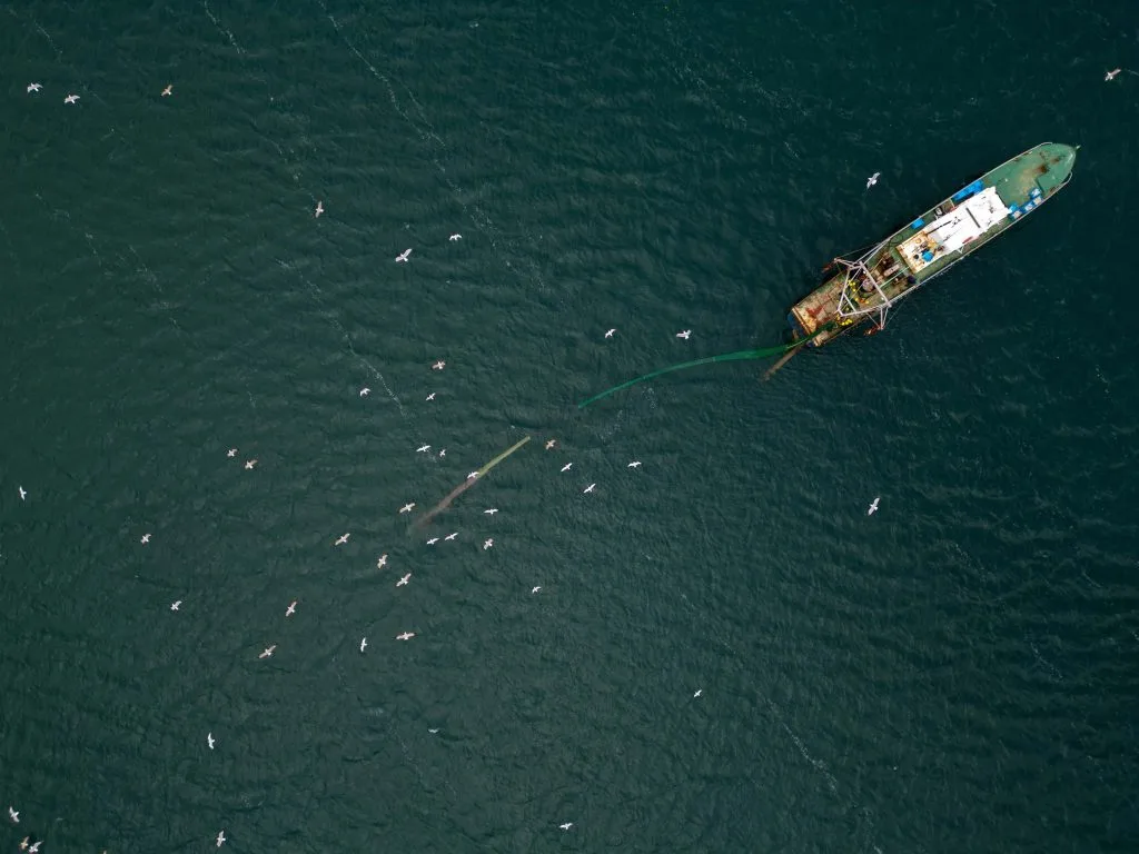 why ban bottom trawling