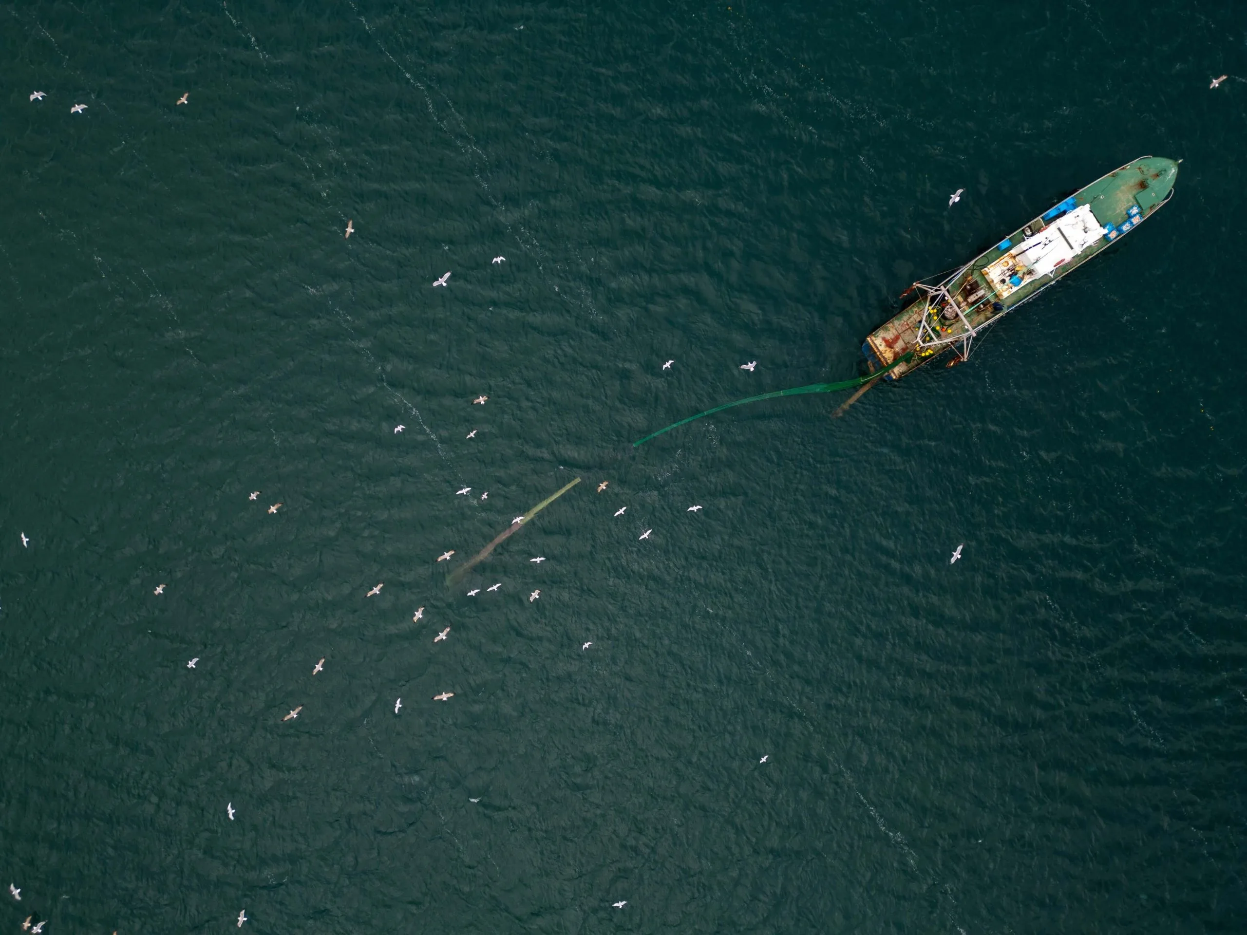 why ban bottom trawling
