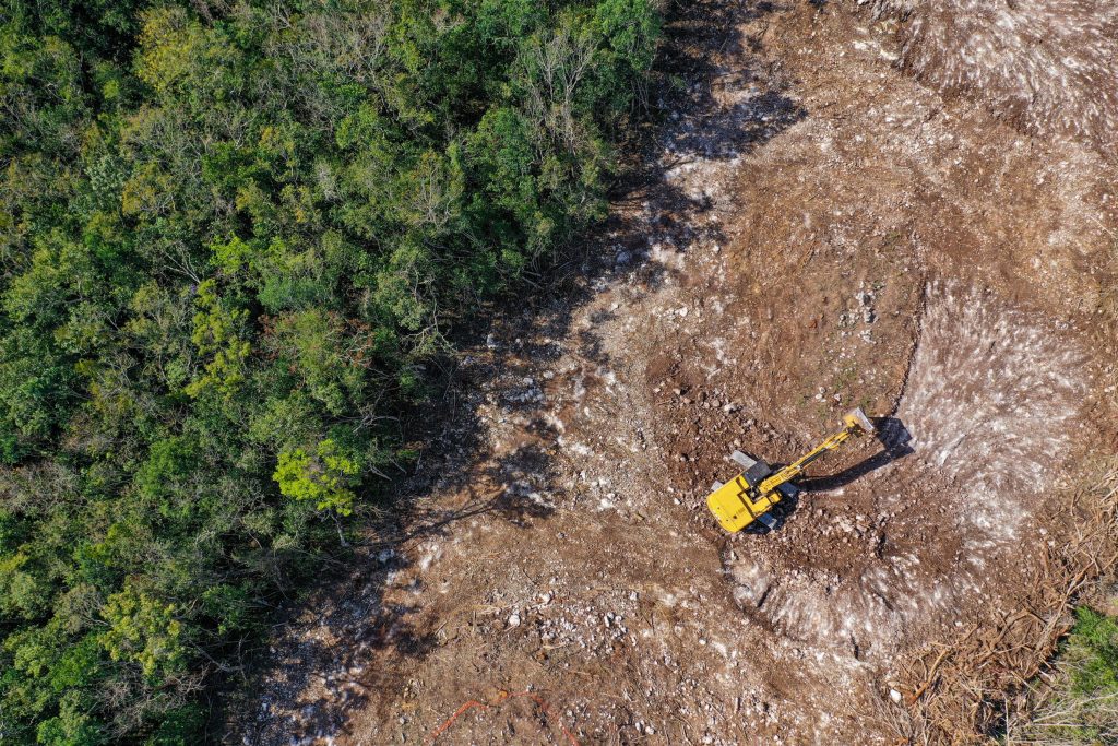 causes and effects of deforestation