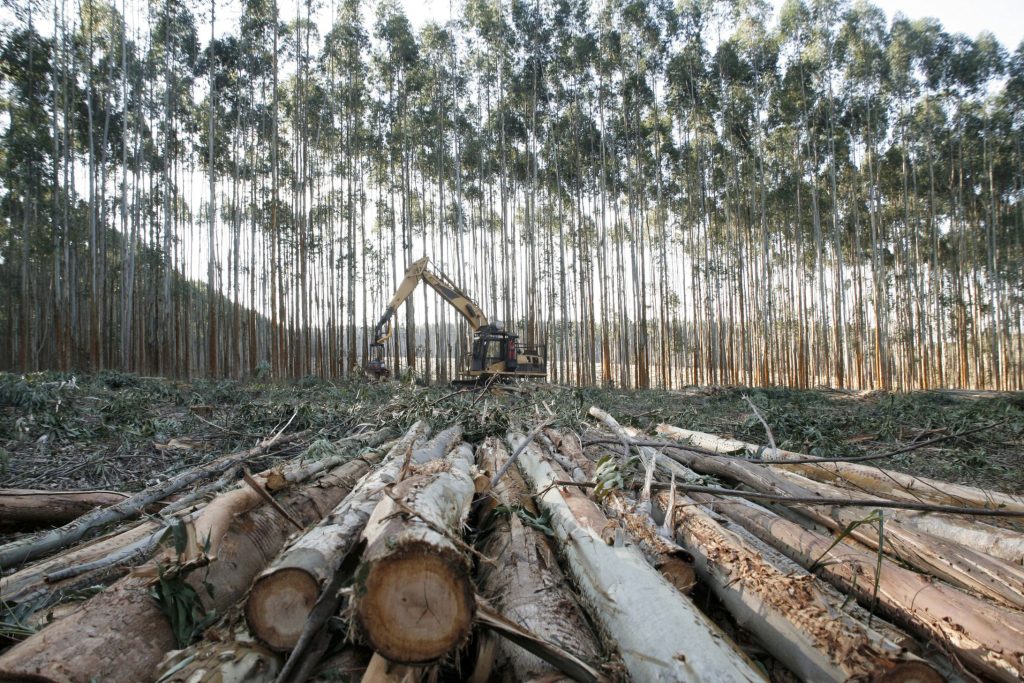 logging equipment